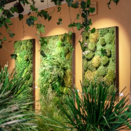 Verdeco Shop showroom