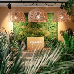 Verdeco Shop showroom