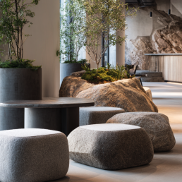 AI Generated biophilic design picture